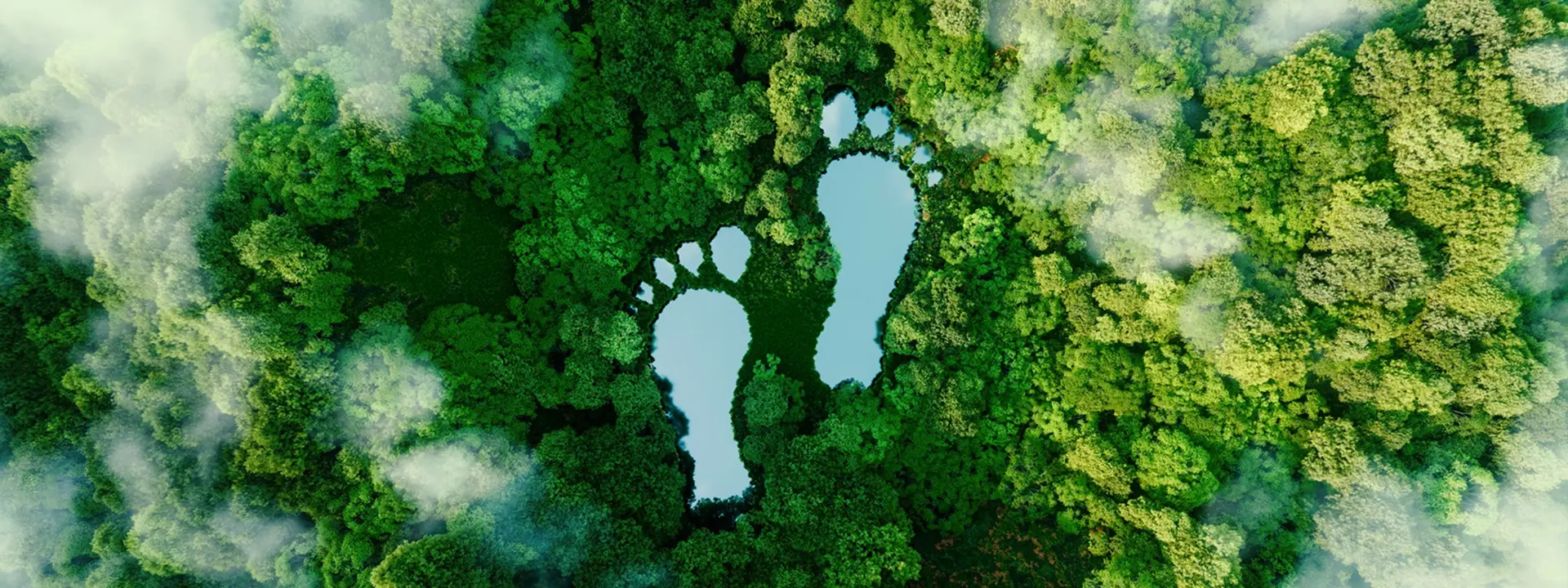 Karbon ayak izi nedir, nasıl azaltılır?